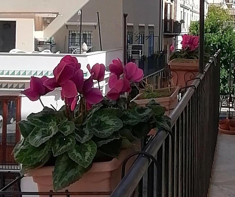 פלרמו Calimero Luxury Suite מראה חיצוני תמונה